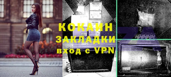 apvp Бородино