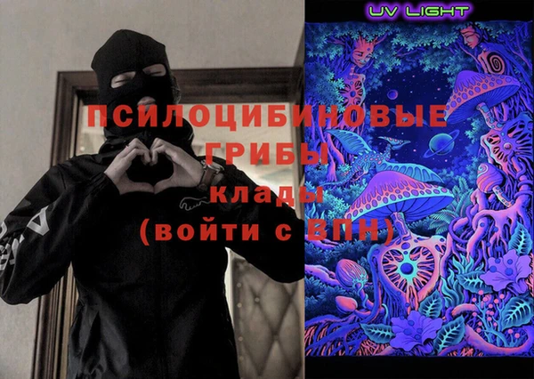 apvp Бородино