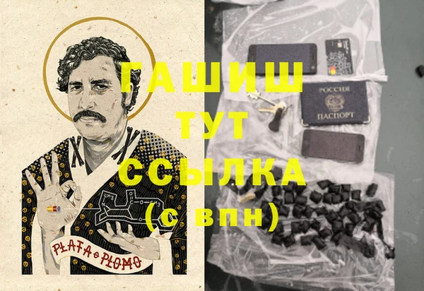 apvp Бородино