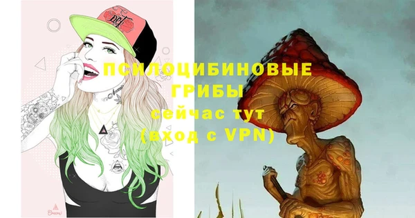 apvp Бородино
