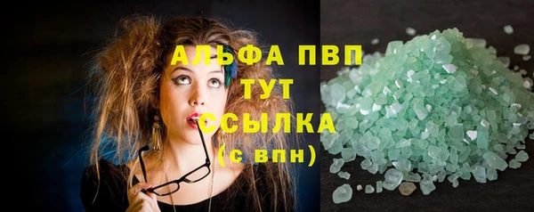 apvp Бородино