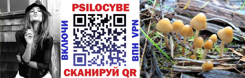 Псилоцибиновые грибы прущие грибы  Купить  Шахунья 